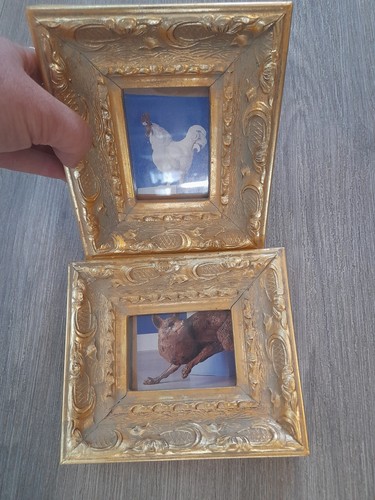 Baroque gold ornate pair - pair, of