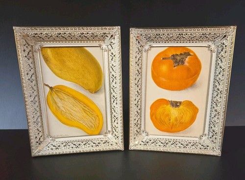 Pair picture frames gold metal - frames,