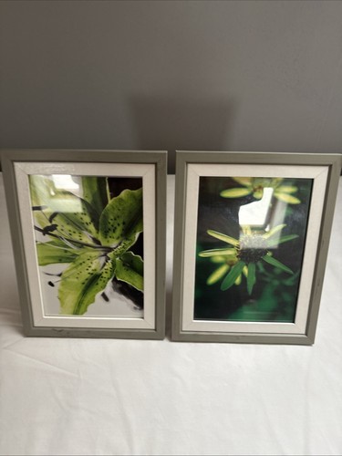 Pair picture frames - pair,